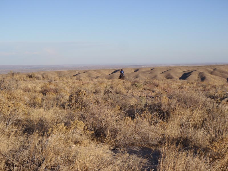 PA080196