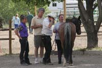 0805Fan_403