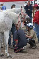 0805Fan_485
