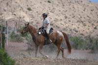 IMG_0879CG