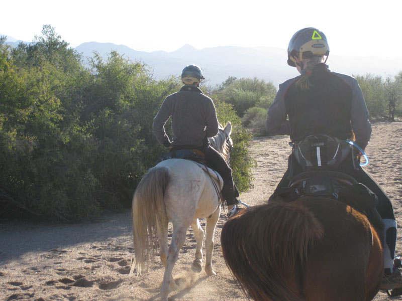 ArizonaEndurance2009#90005
