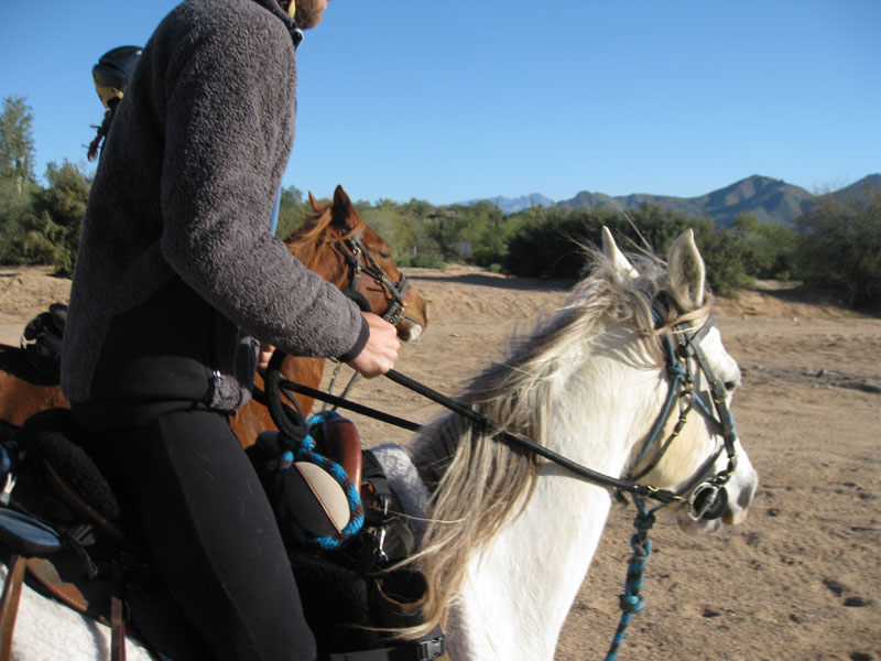 ArizonaEndurance2009#90014