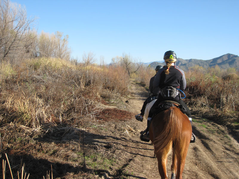 ArizonaEndurance2009#90015