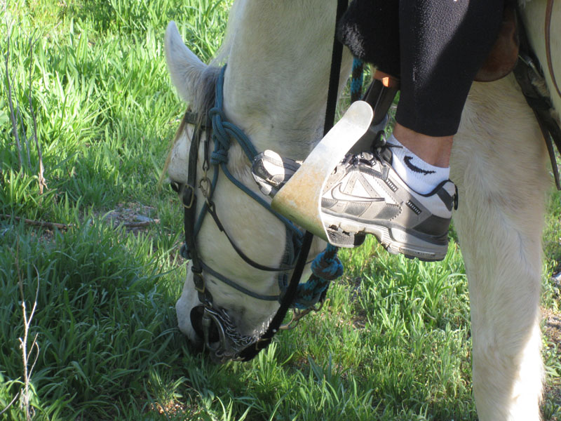 ArizonaEndurance2009#90018