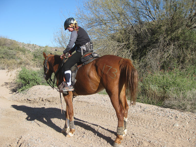 ArizonaEndurance2009#90027
