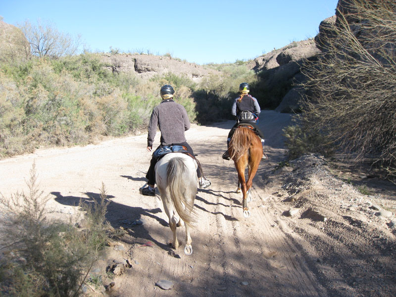 ArizonaEndurance2009#90028