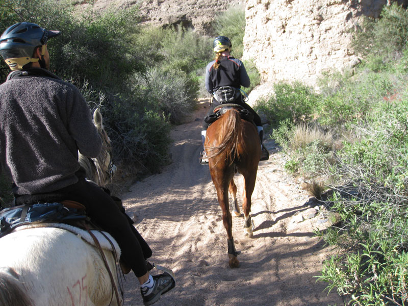 ArizonaEndurance2009#90030