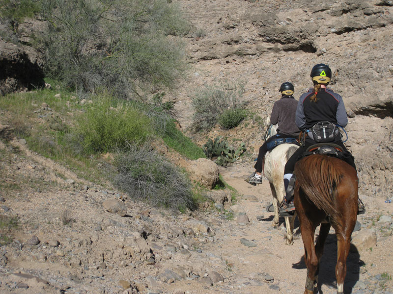 ArizonaEndurance2009#90033
