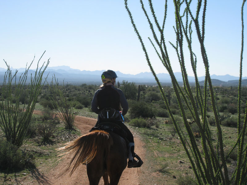 ArizonaEndurance2009#90035
