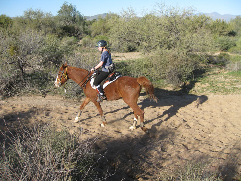 ArizonaEndurance2009#90041