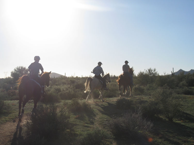 ArizonaEndurance2009#90047