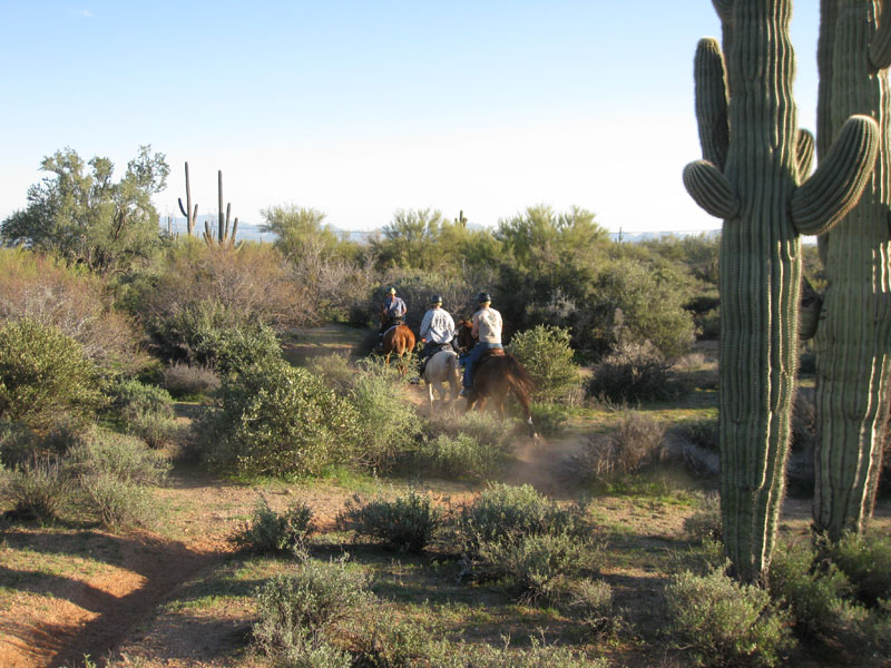 ArizonaEndurance2009#90058