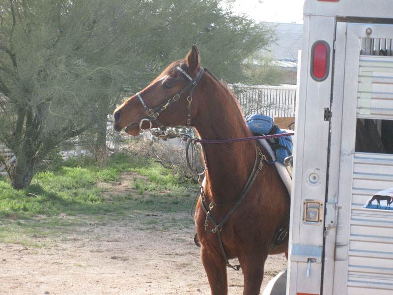 ArizonaEndurance2009#90078