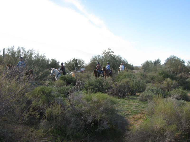 ArizonaEndurance2009#90082