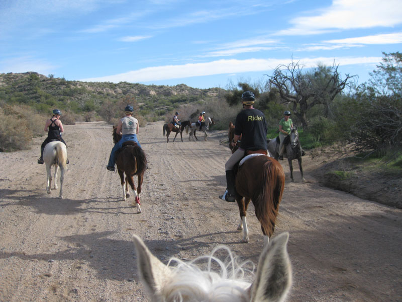 ArizonaEndurance2009#90109