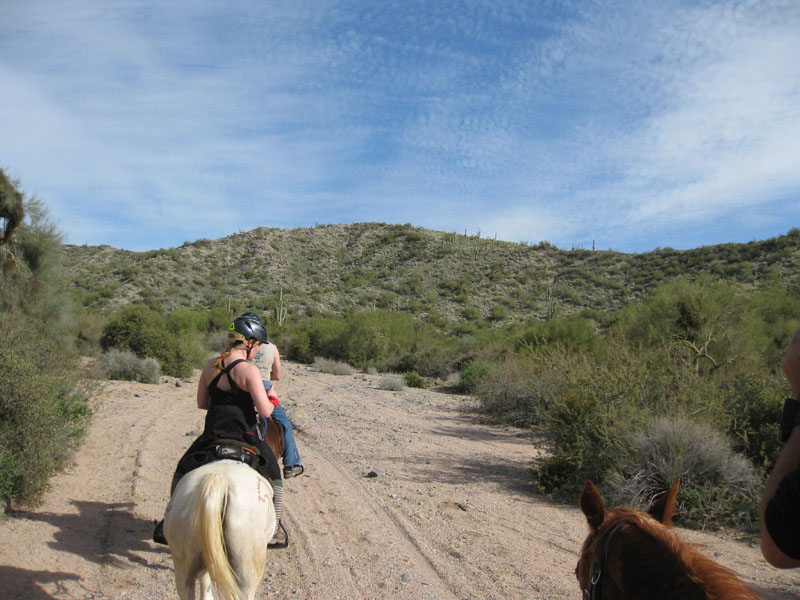ArizonaEndurance2009#90113