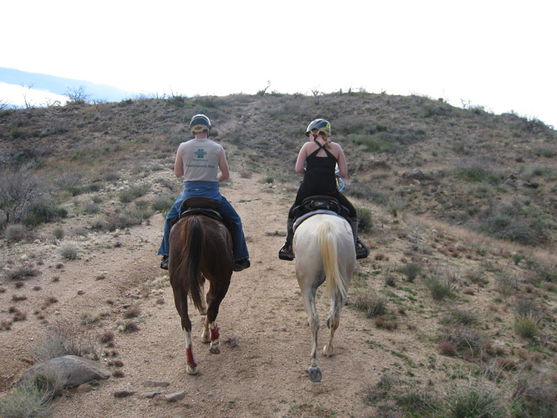 ArizonaEndurance2009#90118