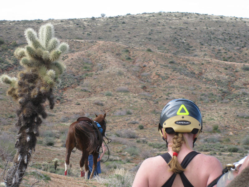 ArizonaEndurance2009#90119