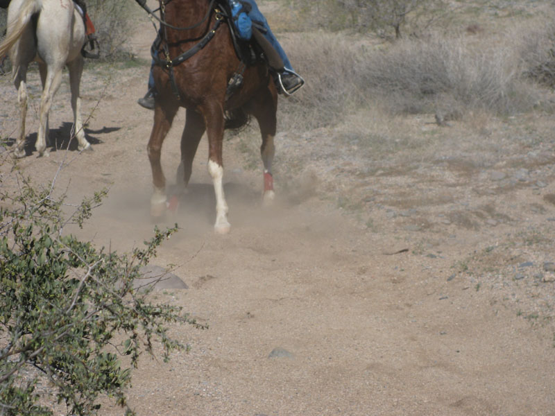 ArizonaEndurance2009#90126
