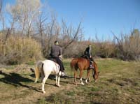 ArizonaEndurance2009#90016