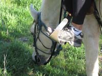 ArizonaEndurance2009#90018