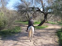 ArizonaEndurance2009#90019