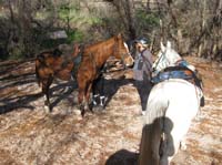 ArizonaEndurance2009#90024