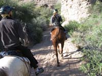 ArizonaEndurance2009#90030