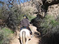 ArizonaEndurance2009#90032