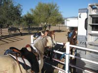 ArizonaEndurance2009#90037