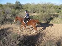 ArizonaEndurance2009#90041