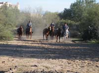 ArizonaEndurance2009#90043
