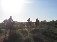 ArizonaEndurance2009#90047