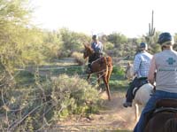 ArizonaEndurance2009#90059