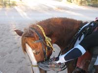 ArizonaEndurance2009#90063
