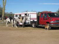 ArizonaEndurance2009#90072