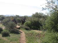 ArizonaEndurance2009#90085