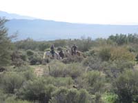 ArizonaEndurance2009#90089