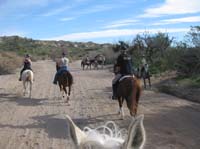 ArizonaEndurance2009#90109