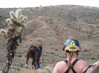 ArizonaEndurance2009#90119