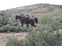 ArizonaEndurance2009#90122