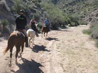 ArizonaEndurance2009#90123