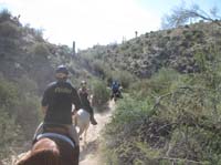 ArizonaEndurance2009#90125
