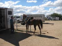ArizonaEndurance2009#90136