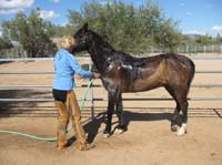 ArizonaEndurance2009#90139
