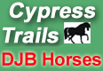 Cypress Trails