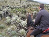 colombia/images/June21Gallery/thumbnails/IMG_0152.jpg