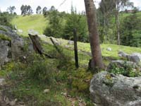 colombia/images/June21Gallery/thumbnails/IMG_0173.jpg