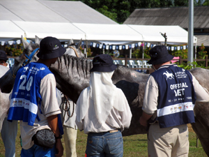 Officials