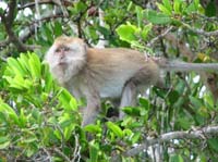 IMG_3757